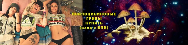 прущие грибы Лысково