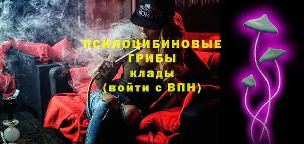 герыч Мегион