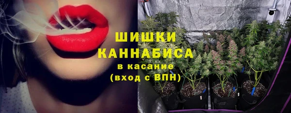 герыч Мегион