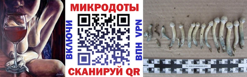 Галлюциногенные грибы Psilocybe ОМГ ОМГ как зайти Новодвинск