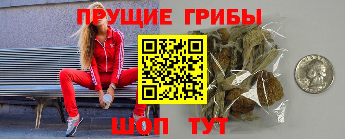 Псилоцибиновые грибы Magic Shrooms Новодвинск