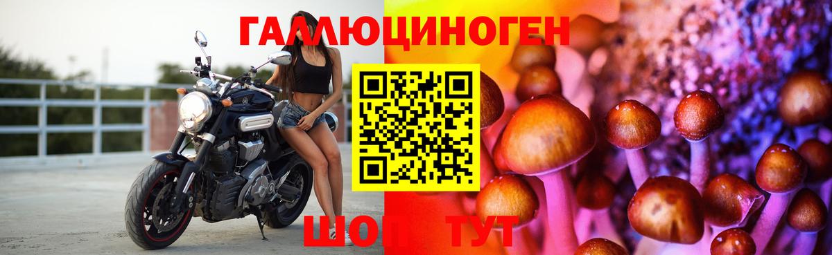 Галлюциногенные грибы ЛСД  Вход с VPN  Новодвинск 